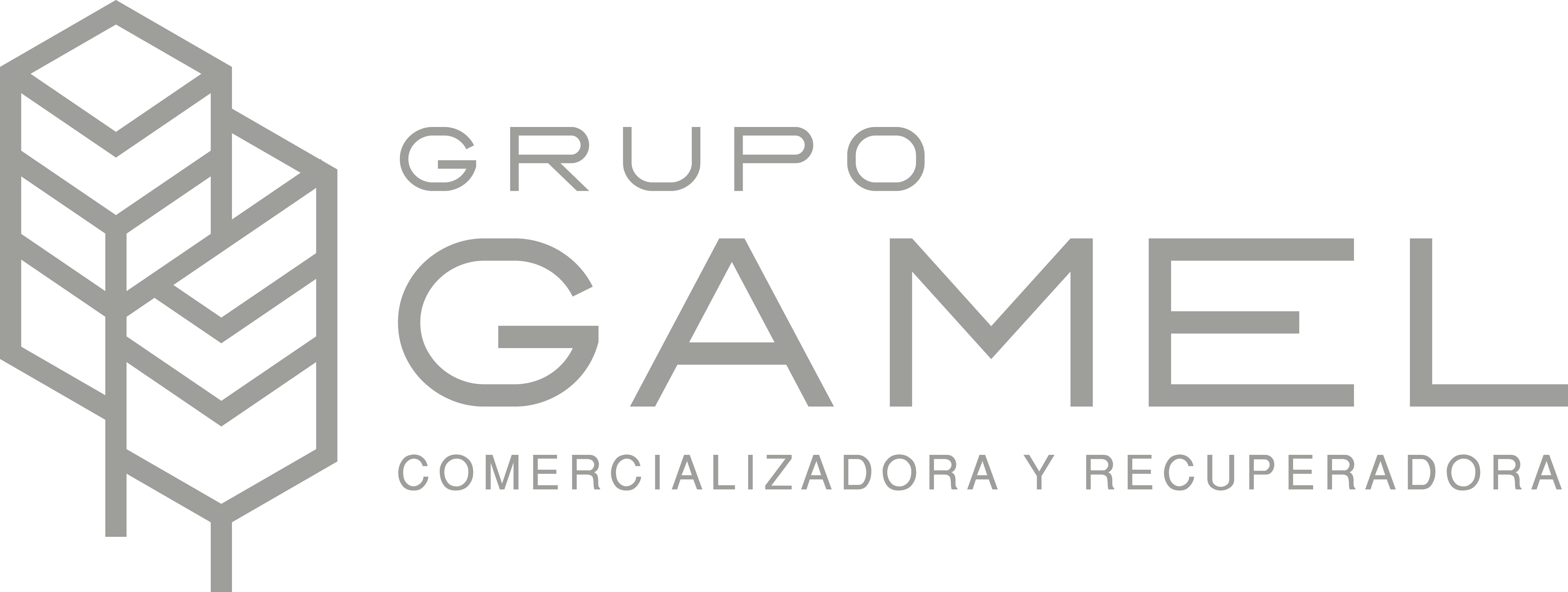 Logo de la empresa